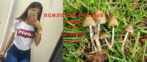 кокаин премиум Алзамай