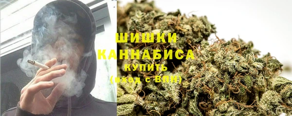спайс Алексин