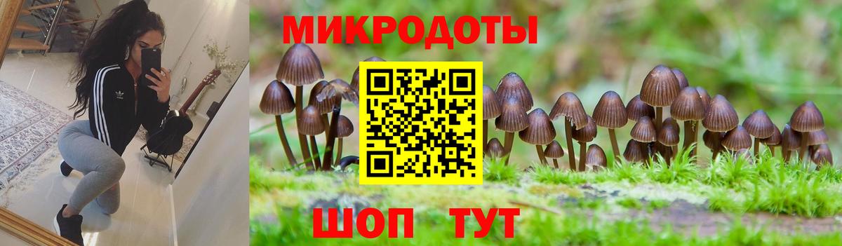Псилоцибиновые грибы MAGIC MUSHROOMS  Вход с VPN  Аксай 